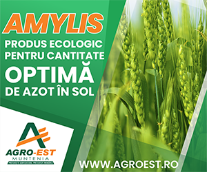 Amylis - Produs ecologic pentru cantitate optima de azot in sol